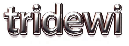 tridewi logo